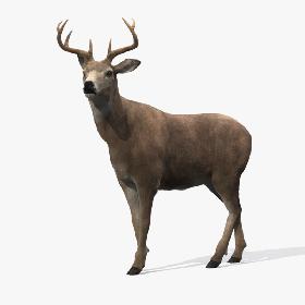 Deer Rigged (Fur)